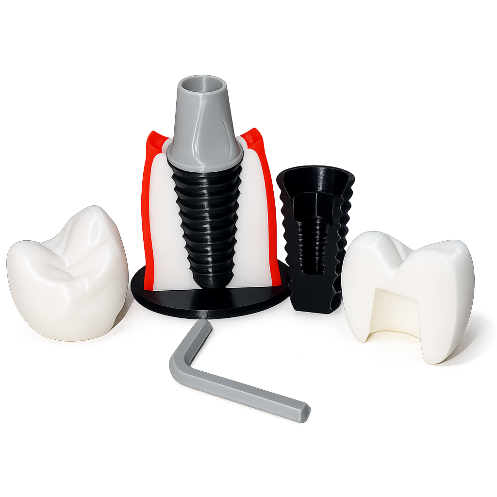 PRAXIS Mixed Set — الاباتمنت والسكرو من جوه